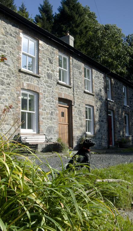 Bronfelin & Troed-Y-Rhiw Holiday Cottage Llanwrtyd Wells Exteriör bild